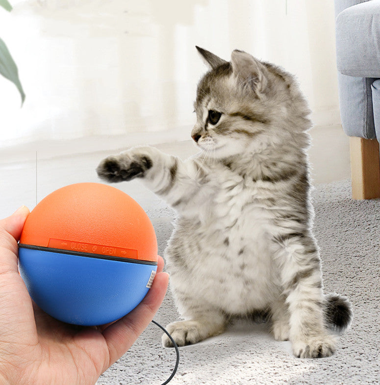 The Ultimate Playtime Solution for Your Feline Friend