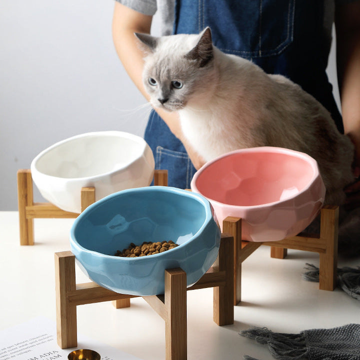 Enhance Your Pet's Dining Experience with the Tilted Pet Feeding Bowl